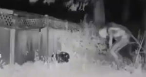 Alien video caught on security camera in Las Vegas