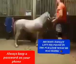 Michael Hanley with horse video