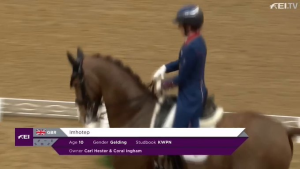 Charlotte Dujardin video whipping a horse on the legs